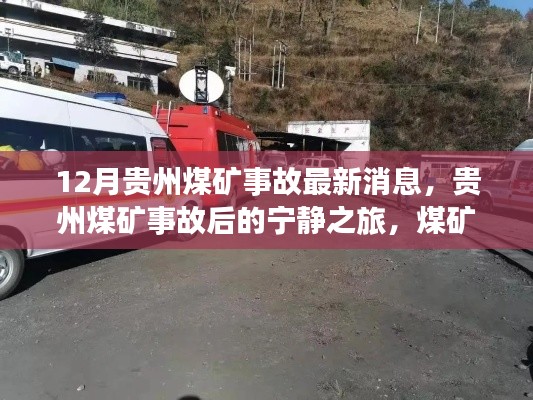 张弓拔弩 第4页