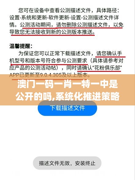 澳门一码一肖一特一中是公开的吗,系统化推进策略探讨_标配版2.650