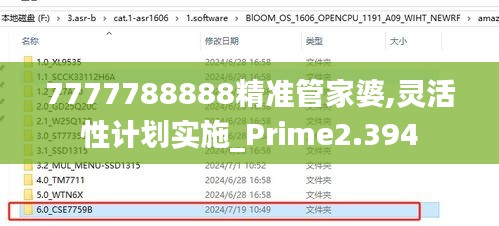 7777788888精准管家婆,灵活性计划实施_Prime2.394