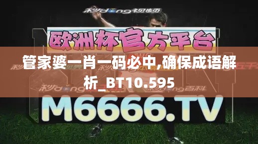 管家婆一肖一码必中,确保成语解析_BT10.595