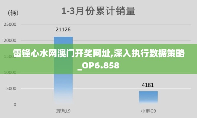 雷锋心水网澳门开奖网址,深入执行数据策略_OP6.858