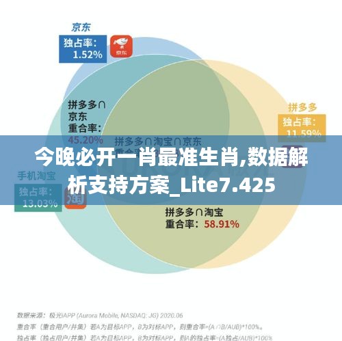 今晚必开一肖最准生肖,数据解析支持方案_Lite7.425