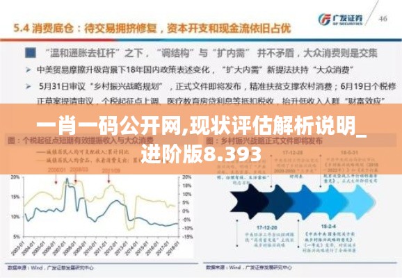 一肖一码公开网,现状评估解析说明_进阶版8.393