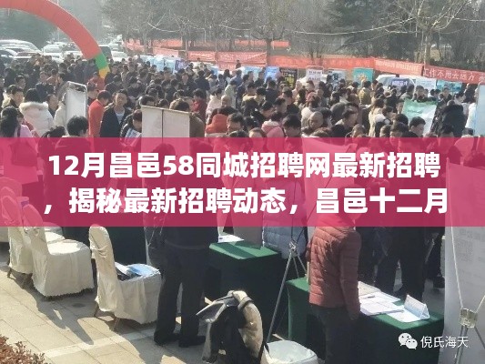 夜以继日 第4页