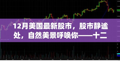 十二月美国股市，静谧美景与心灵探索之旅