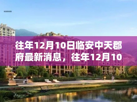 最新动态更新