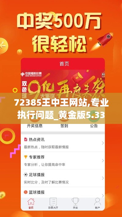 72385王中王网站,专业执行问题_黄金版5.335