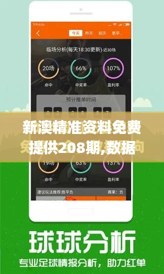 新澳精准资料免费提供208期,数据引导计划设计_KP3.585