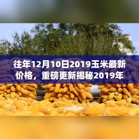 市场走势