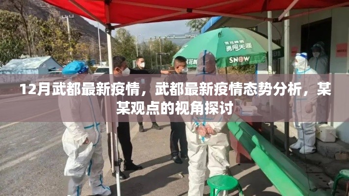 武都最新疫情动态及态势分析，某某观点视角下的探讨