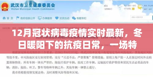 冬日暖阳下的抗疫日常