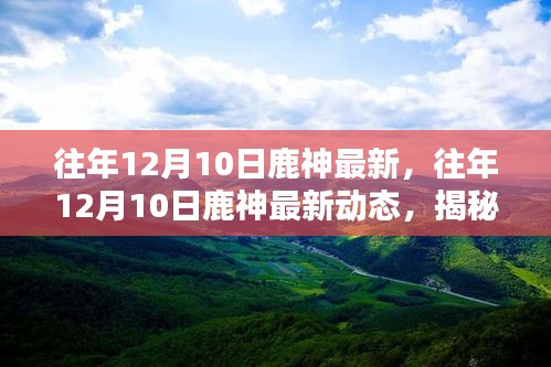 最新动态回顾