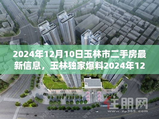 绝代佳人 第4页