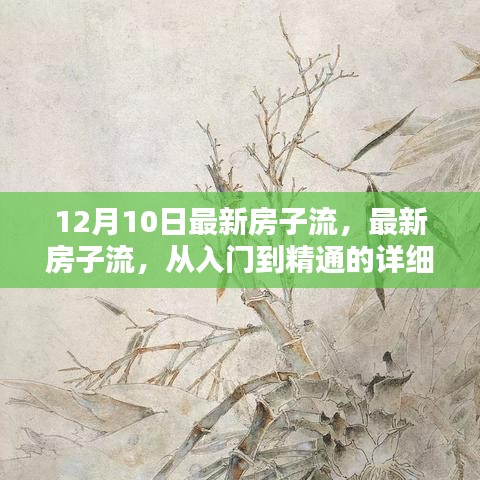 最新房子流指南，从入门到精通，适合初学者与进阶用户的详细教程（12月10日更新）