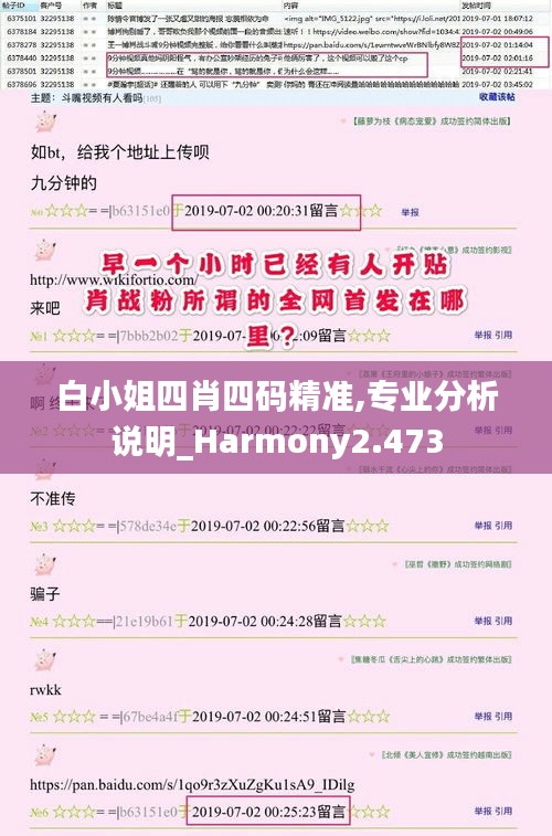 白小姐四肖四码精准,专业分析说明_Harmony2.473