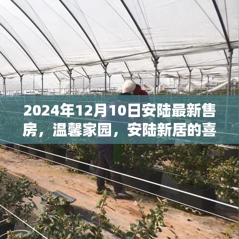 温馨家园新篇章