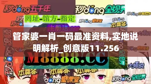 管家婆一肖一码最准资料,实地说明解析_创意版11.256