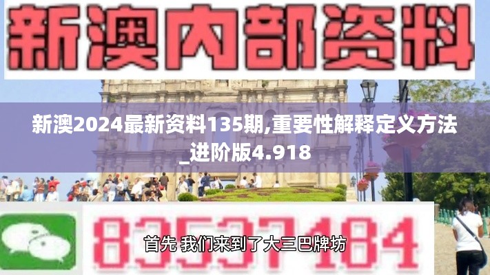 新澳2024最新资料135期,重要性解释定义方法_进阶版4.918