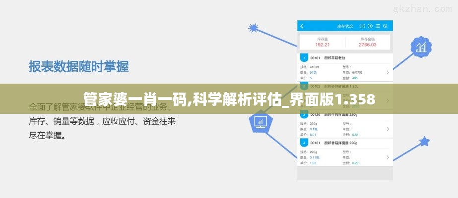 管家婆一肖一码,科学解析评估_界面版1.358