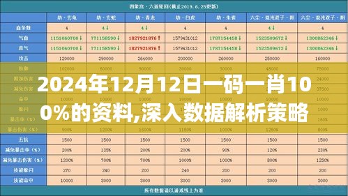 2024年12月12日一码一肖100%的资料,深入数据解析策略_iPad5.116