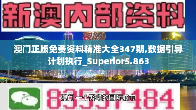 澳门正版免费资料精准大全347期,数据引导计划执行_Superior5.863