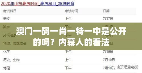 虚张声势 第4页