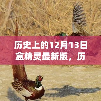 自然美景的心灵之旅