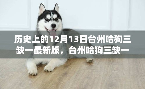 台州哈狗三缺一的传奇历史，十二月十三日的回望