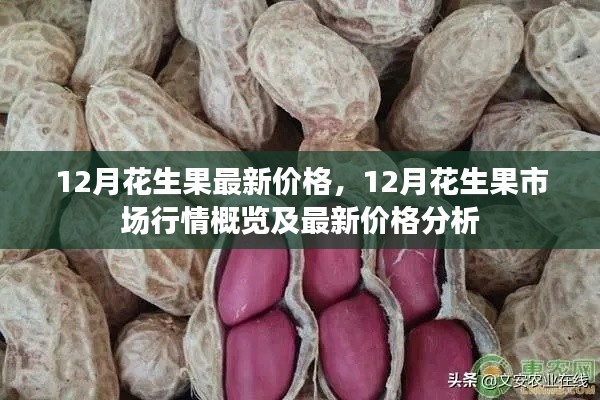 最新价格
