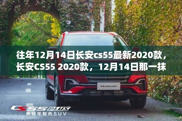 自由自在 第3页