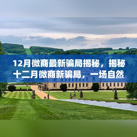 揭秘十二月微商新骗局，自然美景之旅探寻内心平静之道