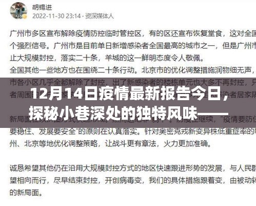疫情下的独特风味，小巷深处的亮色与最新观察报告（12月14日）