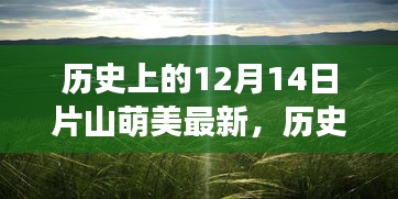 临危不惧 第3页