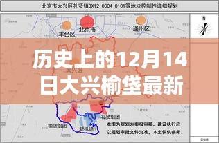 鸟穷则啄 第4页