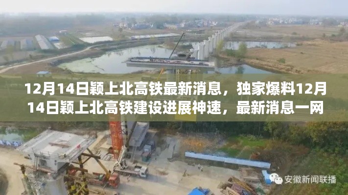 雅人深致 第4页