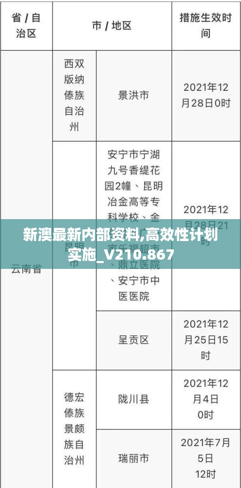 新澳最新内部资料,高效性计划实施_V210.867