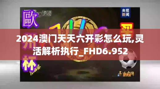 2024澳门天天六开彩怎么玩,灵活解析执行_FHD6.952