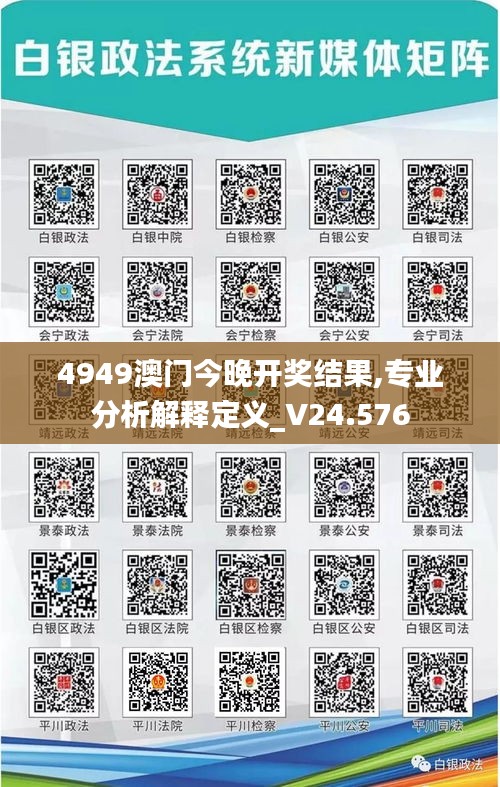 4949澳门今晚开奖结果,专业分析解释定义_V24.576