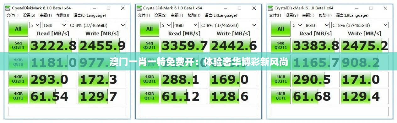 澳门一肖一特免费开：体验奢华博彩新风尚