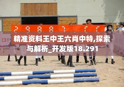 精准资料王中王六肖中特,探索与解析_开发版18.291