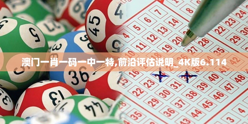 澳门一肖一码一中一特,前沿评估说明_4K版6.114