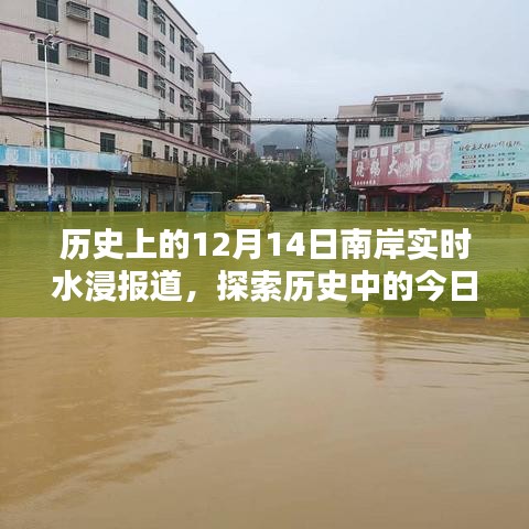 历史上的今天，南岸水浸报道回顾与详细记录分享