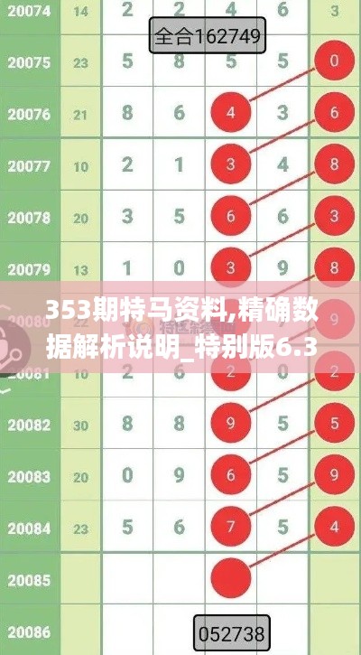 353期特马资料,精确数据解析说明_特别版6.342