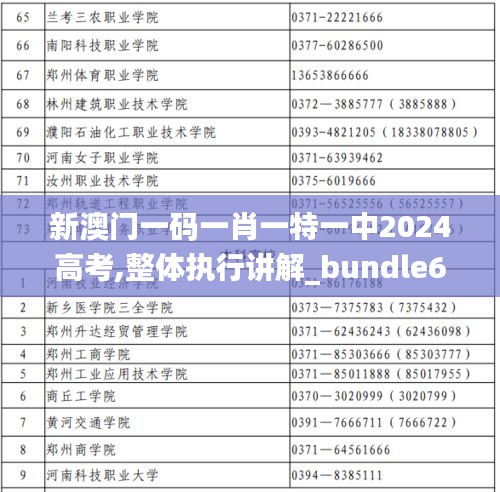 新澳门一码一肖一特一中2024高考,整体执行讲解_bundle6.169