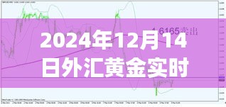 黄金市场风云变幻，最新外汇黄金实时报道解析（2024年12月14日）