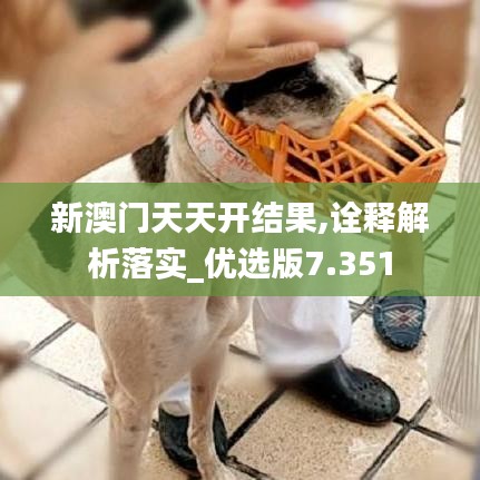 衣不重彩 第3页