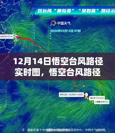 12月14日悟空台风路径实时图，台风动态一目了然，查看指南全解析