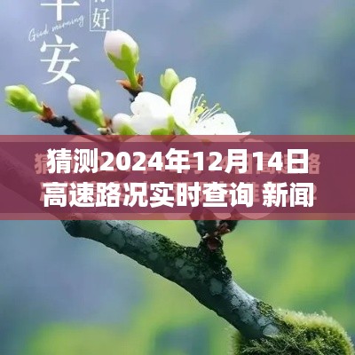 2024年12月14日高速路况实时查询预测与新闻指南
