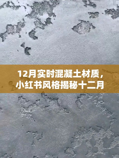 小红书风格揭秘，十二月实时混凝土材质的独特魅力与风格展示