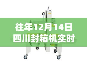 友情与陪伴